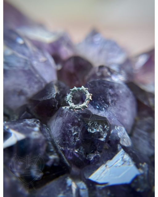 One of our favorites in the case right now: "Barbie" by Maya Jewelry in 14k white gold. 

Good piercings deserve good jewelry. At Black Coffin, we work with reputable brands and quality pieces so your piercing looks just as good as it feels.

Piercing services are available 7 days a week by appointment or walk-in: https://blackcoffintattoo.com/

#BlackCoffinTattoo #SaintPaulTattoo #TwinCitiesTattoo #MinnesotaTattoo #CustomTattoo #BlackworkTattoo #HorrorTattoo #SciFiTattoo #BodyPiercing #TattooShop